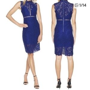 Bardot Sleeveless Lace Midi Dress in Royal Blue